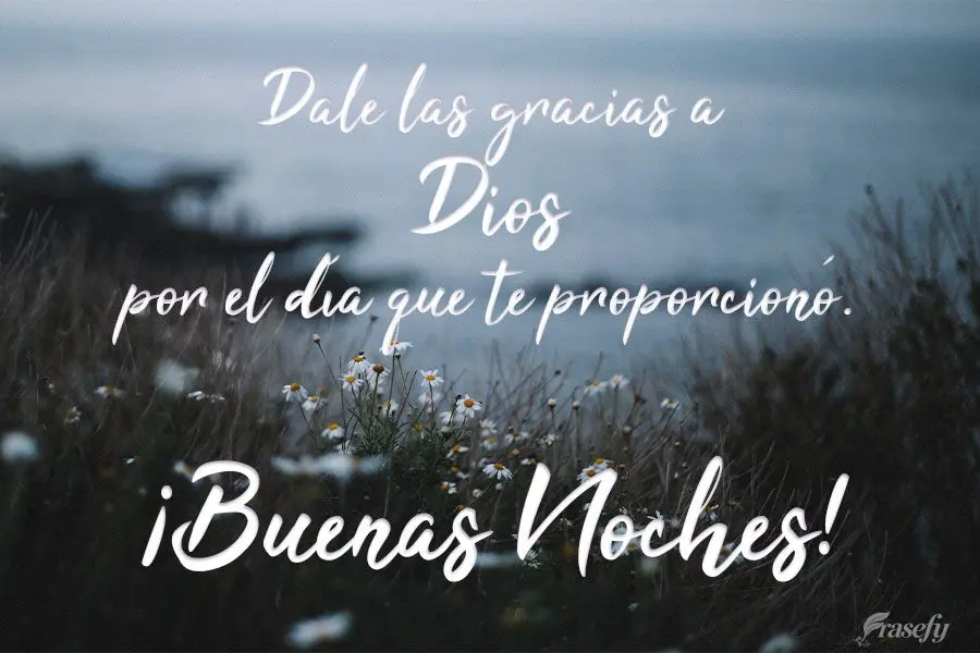 Dale las gracias a Dios por el día que te proporcionó. ¡Buenas noches!