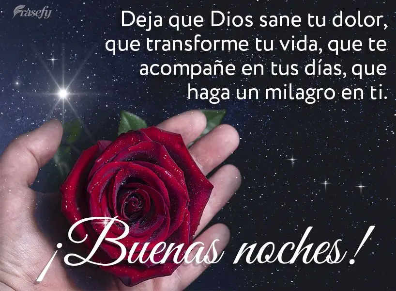 Deja que Dios sane tu dolor, que transforme tu vida, que te acompañe en tus días, que haga un milagro en ti. ¡Buenas noches!