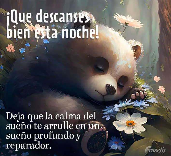 Deja que la calma del sueño te arrulle en un sueño profundo y reparador. ¡Que descanses bien esta noche!