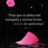 “Deja que tu alma esté tranquila y serena frente a un millón de universos”. ¡Buenas noches! Walt Whitman
