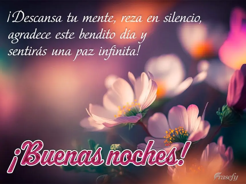 ¡Descansa tu mente, reza en silencio, agradece este bendito día y sentirás una paz infinita! ¡Buenas noches!