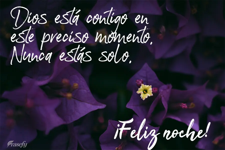 Dios está contigo en este preciso momento. Nunca estás solo. ¡Feliz noche!