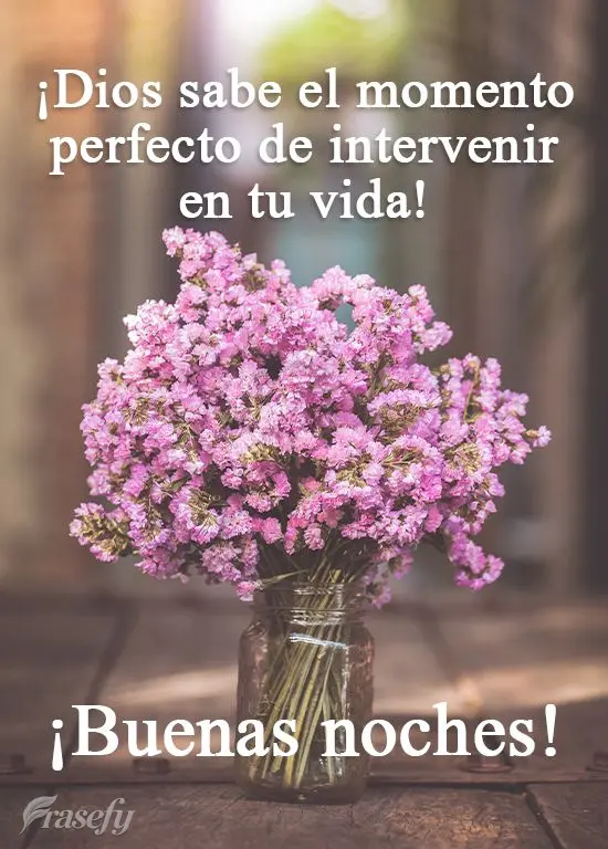 ¡Dios sabe el momento perfecto de intervenir en tu vida! ¡Buenas noches!