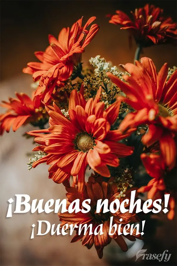 ¡Buenas noches! ¡Duerma bien!