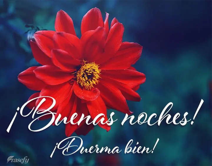¡Buenas noches! ¡Duerma bien!