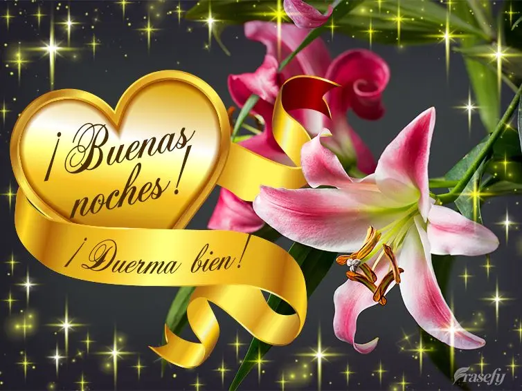 ¡Buenas noches! ¡Duerma bien!