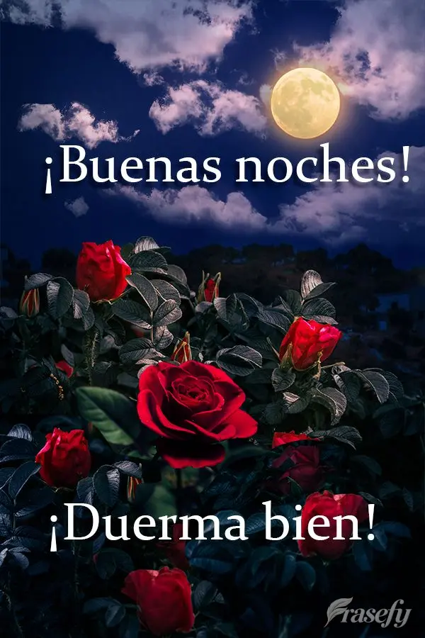 ¡Buenas noches! ¡Duerma bien!