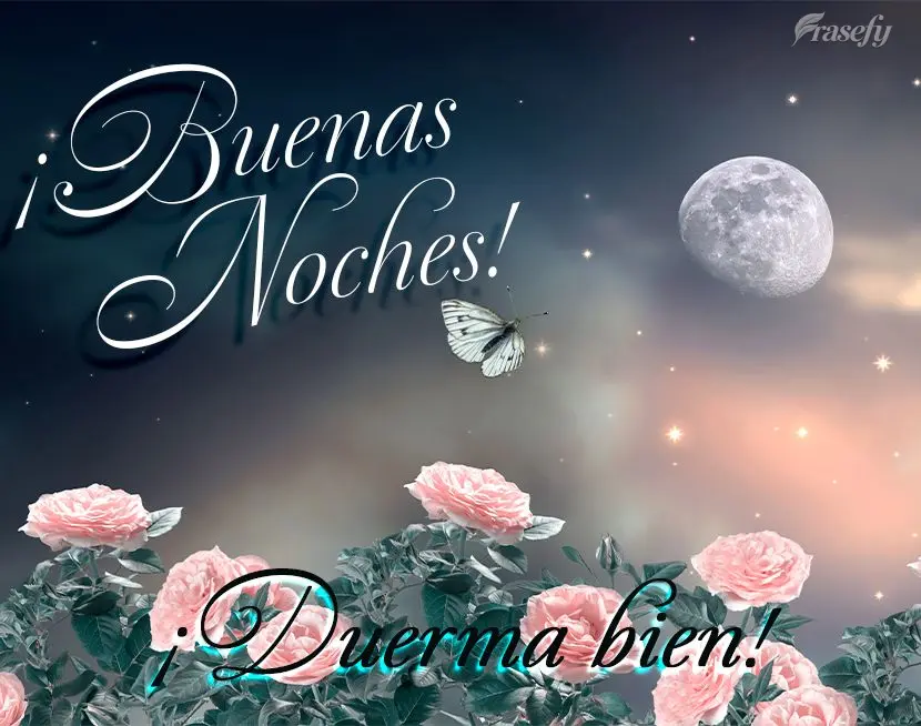 ¡Buenas noches! ¡Duerma bien!