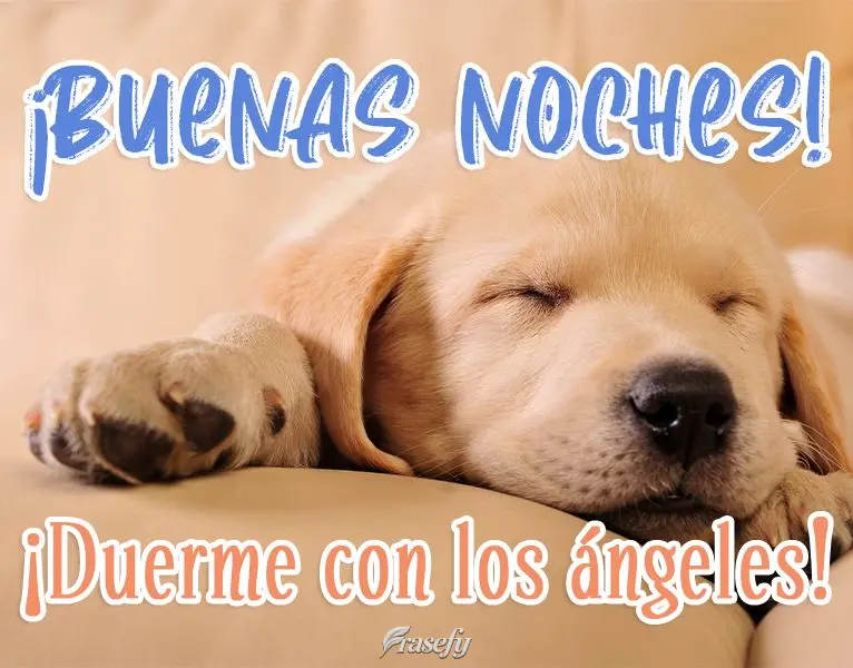¡Buenas noches! ¡Duerme con los ángeles!