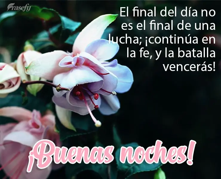 El final del día no es el final de una lucha; ¡continúa en la fe, y la batalla vencerás! ¡Buenas noches!