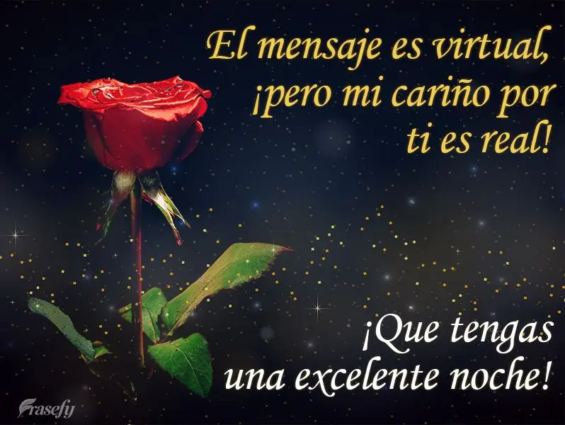 El mensaje es virtual, ¡pero mi cariño por ti es real! ¡Que tengas una excelente noche!