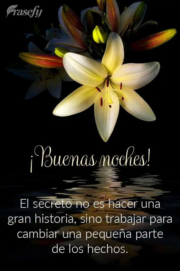 El secreto no es hacer una gran historia, sino trabajar para cambiar una pequeña parte de los hechos. ¡Buenas noches!