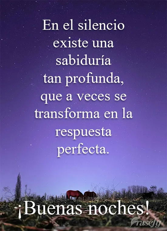 En el silencio existe una sabiduría tan profunda, que a veces se transforma en la respuesta perfecta. ¡Buenas noches!