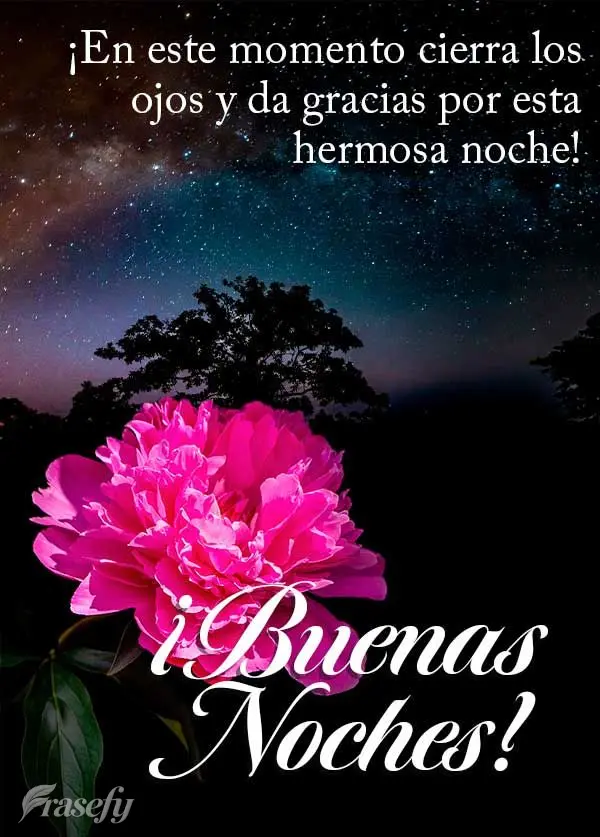¡En este momento cierra los ojos y da gracias por esta hermosa noche! ¡Buenas noches!