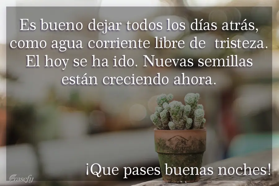 Es bueno dejar todos los días atrás, como agua corriente libre de  tristeza. El hoy se ha ido. Nuevas semillas están creciendo ahora. ¡Que pases buen...