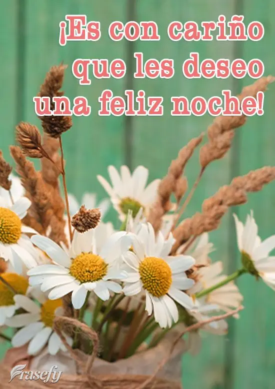 ¡Es con cariño que les deseo una feliz noche!