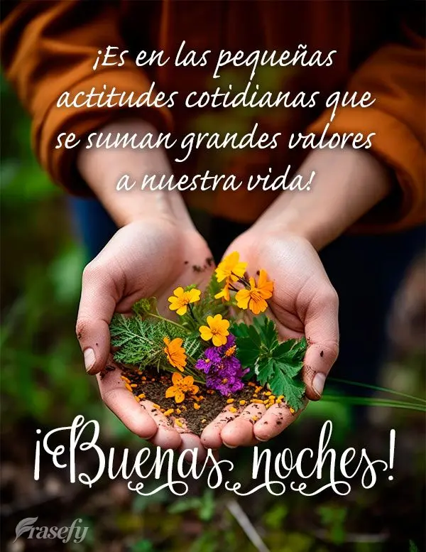 ¡Es en las pequeñas actitudes cotidianas que se suman grandes valores a nuestra vida! ¡Buenas noches!