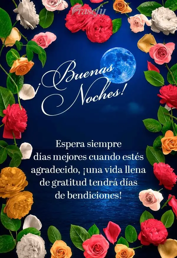 Espera siempre días mejores cuando estés agradecido, ¡una vida llena de gratitud tendrá días de bendiciones! ¡Buenas noches!