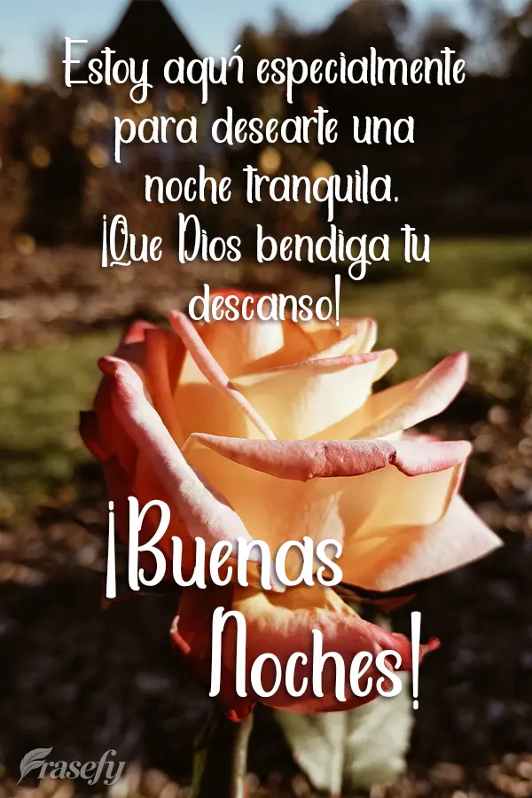 Estoy aquí especialmente para desearte una noche tranquila. ¡Que Dios bendiga tu descanso! ¡Buenas noches!