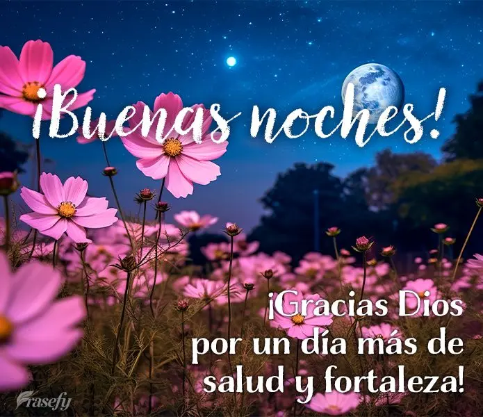 ¡Gracias Dios por un día más de salud y fortaleza! ¡Buenas noches!