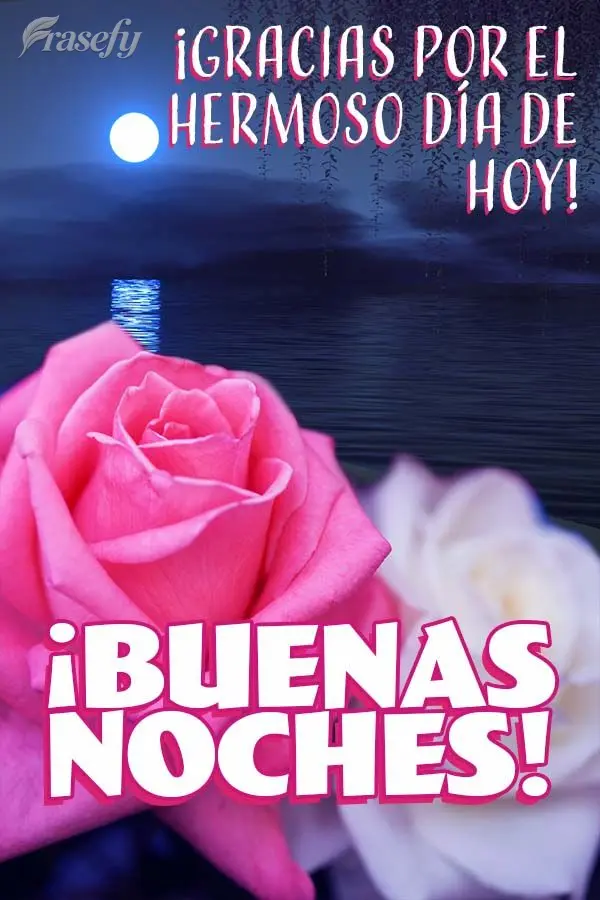 ¡Gracias por el hermoso día de hoy! ¡Buenas noches!