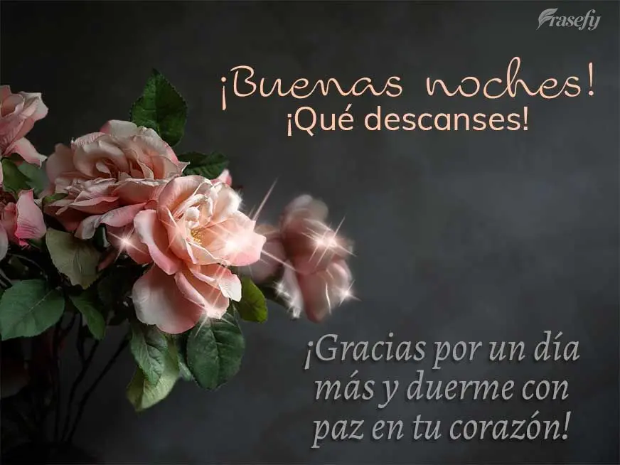 ¡Gracias por un día más y duerme con paz en tu corazón! ¡Buenas noches! ¡Qué descanses!