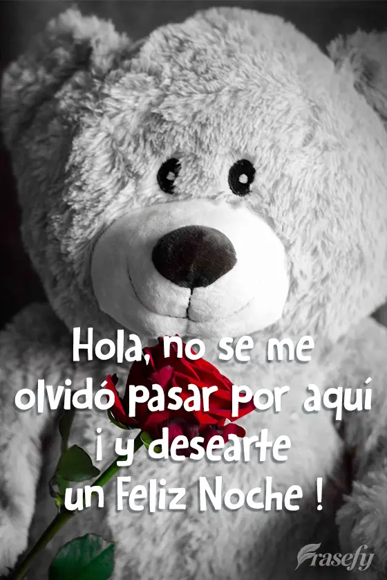 Hola, no se me olvidó pasar por aquí ¡y desearte una feliz noche!