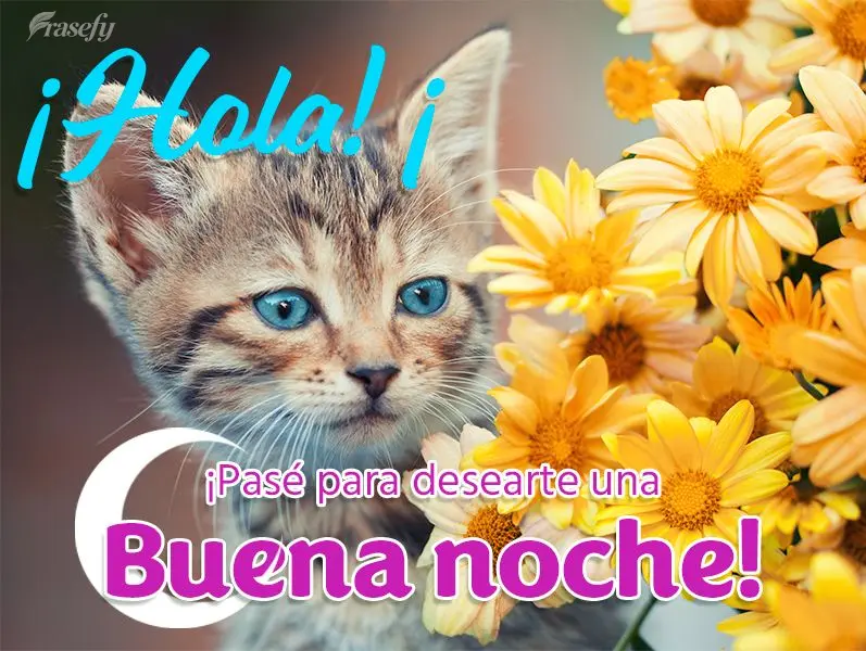 ¡Hola! ¡Pasé para desearte una buena noche!