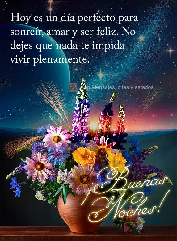 Hoy es un día perfecto para sonreír, amar y ser feliz. No dejes que nada te impida vivir plenamente. ¡Buenas noches!