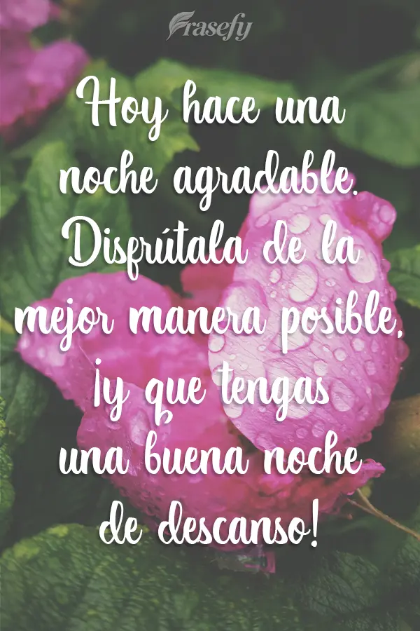 Hoy hace una noche agradable. Disfrútala de la mejor manera posible, ¡y que tengas una buena noche de descanso!