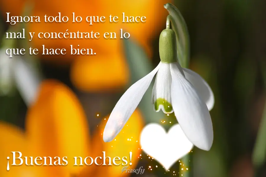 Ignora todo lo que te hace mal y concéntrate en lo que te hace bien. ¡Buenas noches!