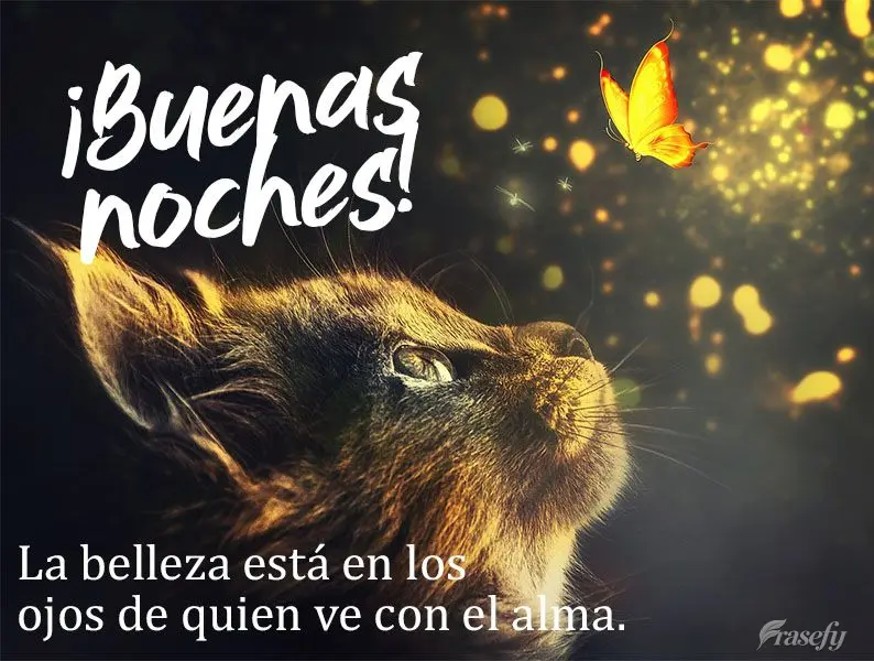 La belleza está en los ojos de quien ve con el alma. ¡Buenas noches!