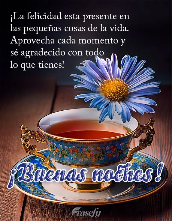 ¡La felicidad esta presente en las pequeñas cosas de la vida. Aprovecha cada momento y sé agradecido con todo lo que tienes! ¡Buenas noches!