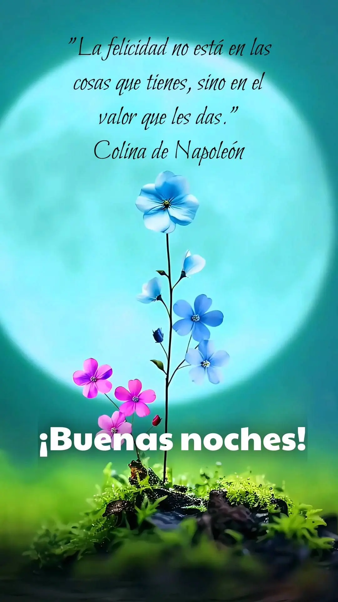 "La felicidad no está en las cosas que tienes, sino en el valor que les das."
              Colina de Napoleón ¡Buenas noches!