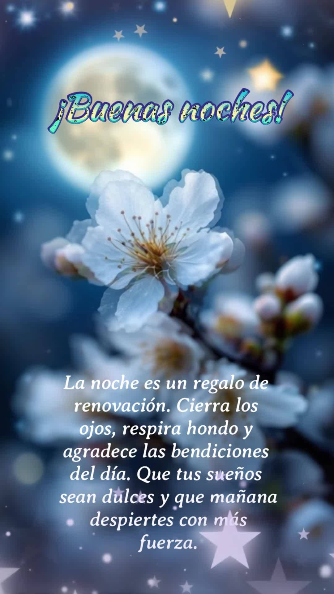 La noche es un regalo de renovación. Cierra los ojos, respira hondo y agradece las bendiciones del día. Que tus sueños sean dulces y que mañana despi...
