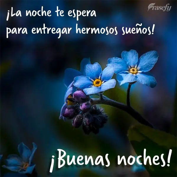 ¡La noche te espera para entregar hermosos sueños! ¡Buenas noches!