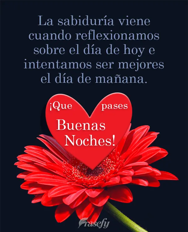 La sabiduría viene cuando reflexionamos sobre el día de hoy e intentamos ser mejores el día de mañana. ¡Que pases buenas noches!