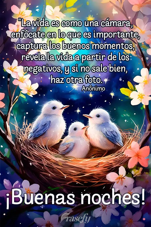 "La vida es como una cámara, enfócate en lo que es importante, captura los buenos momentos, revela la vida a partir de los negativos, y si no sale bien...