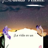 ¡La vida es un momento breve y debes disfrutar cada segundo sin dejar de lado lo que te hace vivir bien y feliz! ¡Buenas noches!