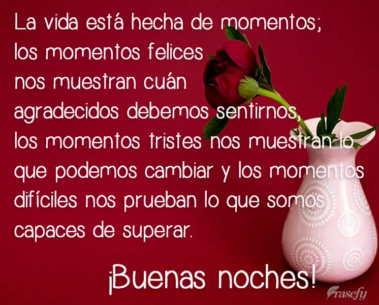 La vida está hecha de momentos; los momentos felices nos muestran cuán agradecidos debemos sentirnos, los momentos tristes nos muestran lo que podemos ...