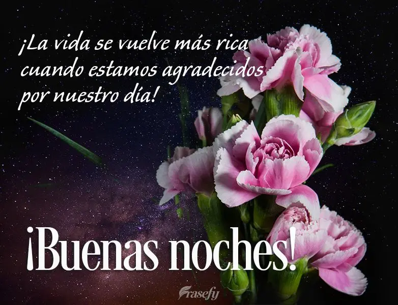 ¡La vida se vuelve más rica cuando estamos agradecidos por nuestro día! ¡Buenas noches!