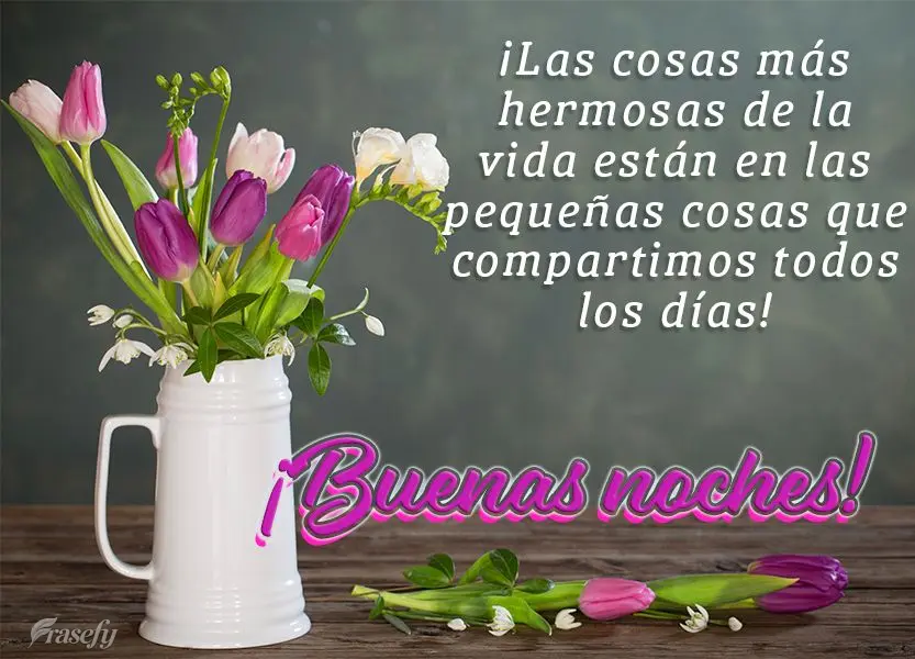 ¡Las cosas más hermosas de la vida están en las pequeñas cosas que compartimos todos los días! ¡Buenas noches!