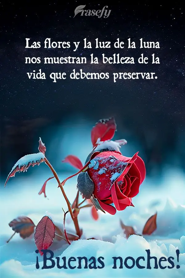 Las flores y la luz de la luna nos muestran la belleza de la vida que debemos preservar. ¡Buenas noches!