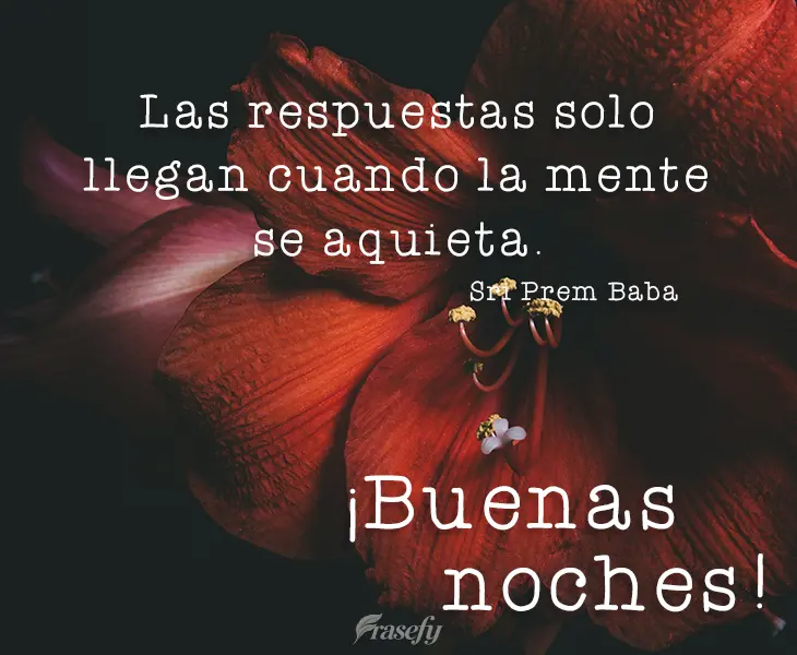 Las respuestas solo llegan cuando la mente se aquieta. ¡Buenas noches! Sri Prem Baba