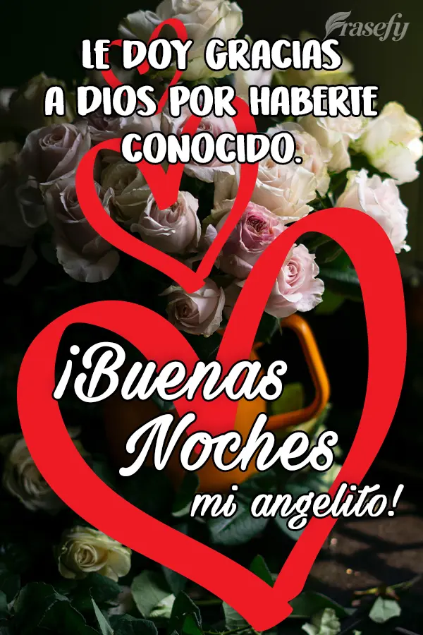 Le doy gracias a Dios por haberte conocido. ¡Buenas noches mi angelito!