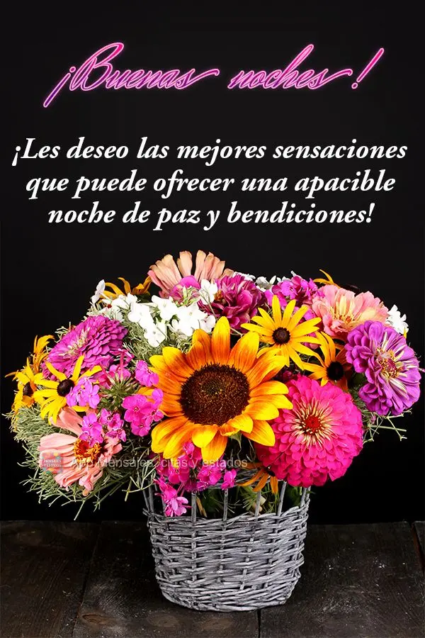 ¡Les deseo las mejores sensaciones que puede ofrecer una apacible noche de paz y bendiciones! ¡Buenas noches!