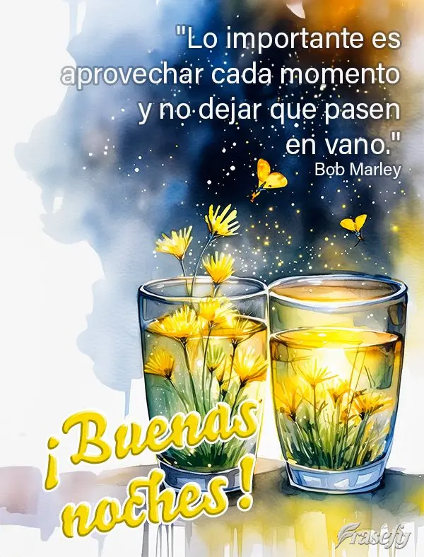 "Lo importante es aprovechar cada momento y no dejar que pasen en vano." ¡Buenas noches! Bob Marley