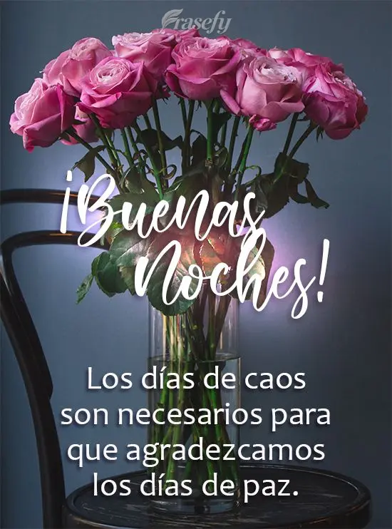 Los días de caos son necesarios para que agradezcamos los días de paz. ¡Buenas noches!