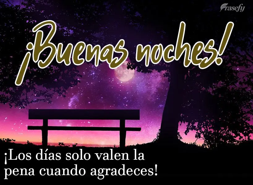 ¡Los días solo valen la pena cuando agradeces! ¡Buenas noches!