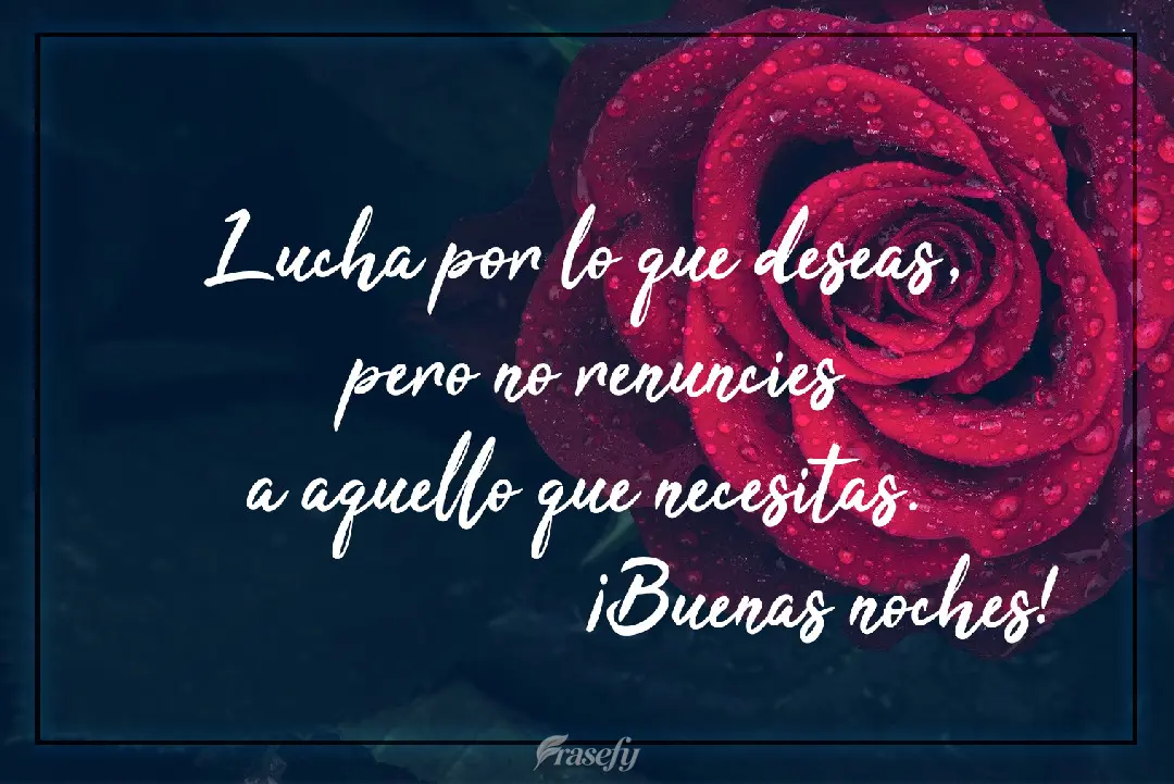 Lucha por lo que deseas, pero no renuncies a aquello que necesitas. ¡Buenas noches!